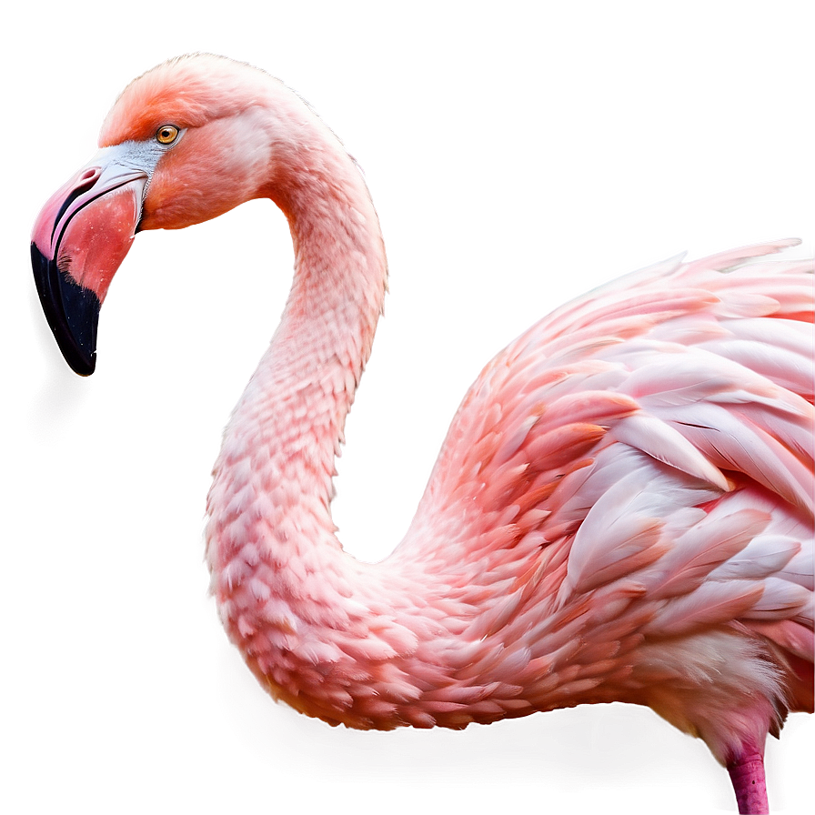 Flamingo In Fantasy Land Png 05062024 PNG image