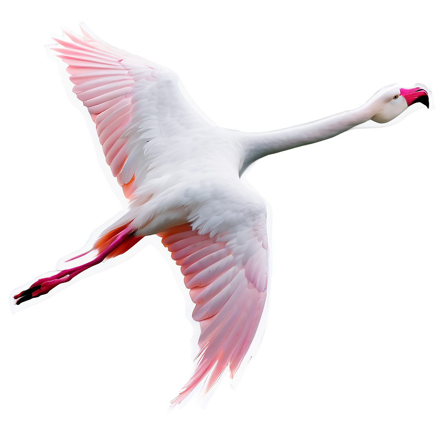 Flamingo In Flight Silhouette Png Wys19 PNG image