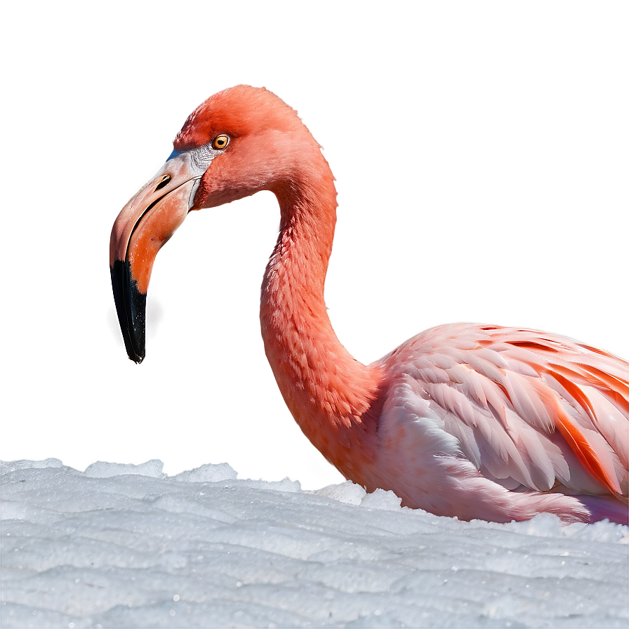 Flamingo In Snowy Landscape Png 06292024 PNG image