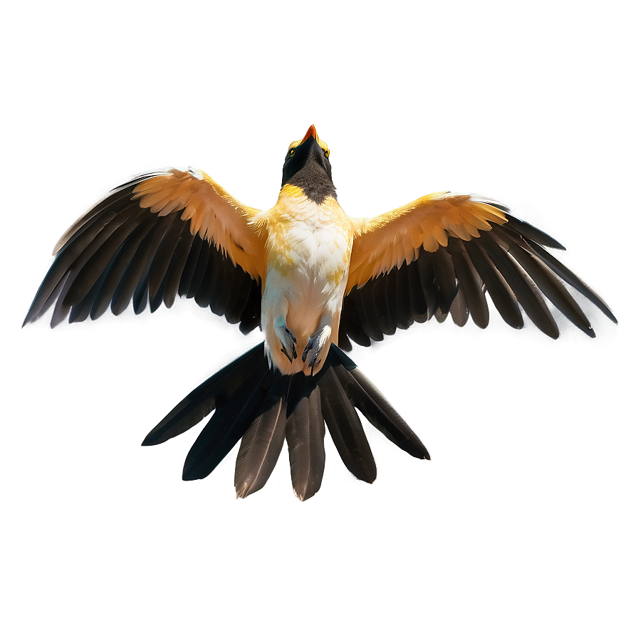 Flapping Wings Bird Png 06122024 PNG image