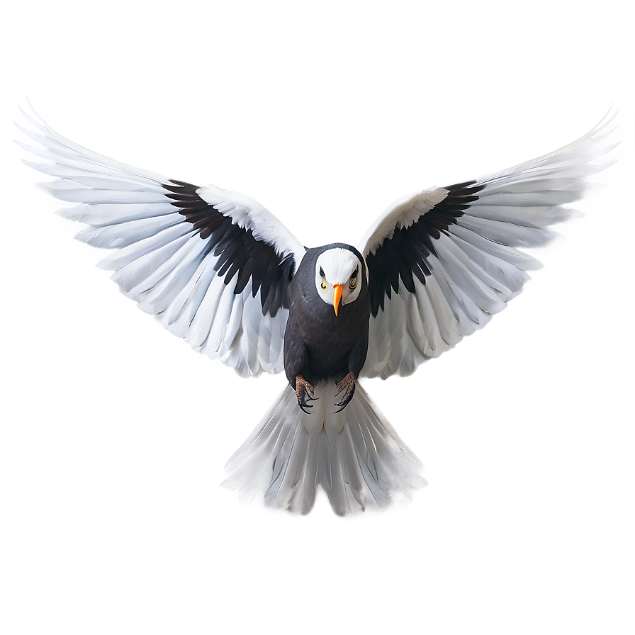 Flapping Wings Bird Png Pac PNG image