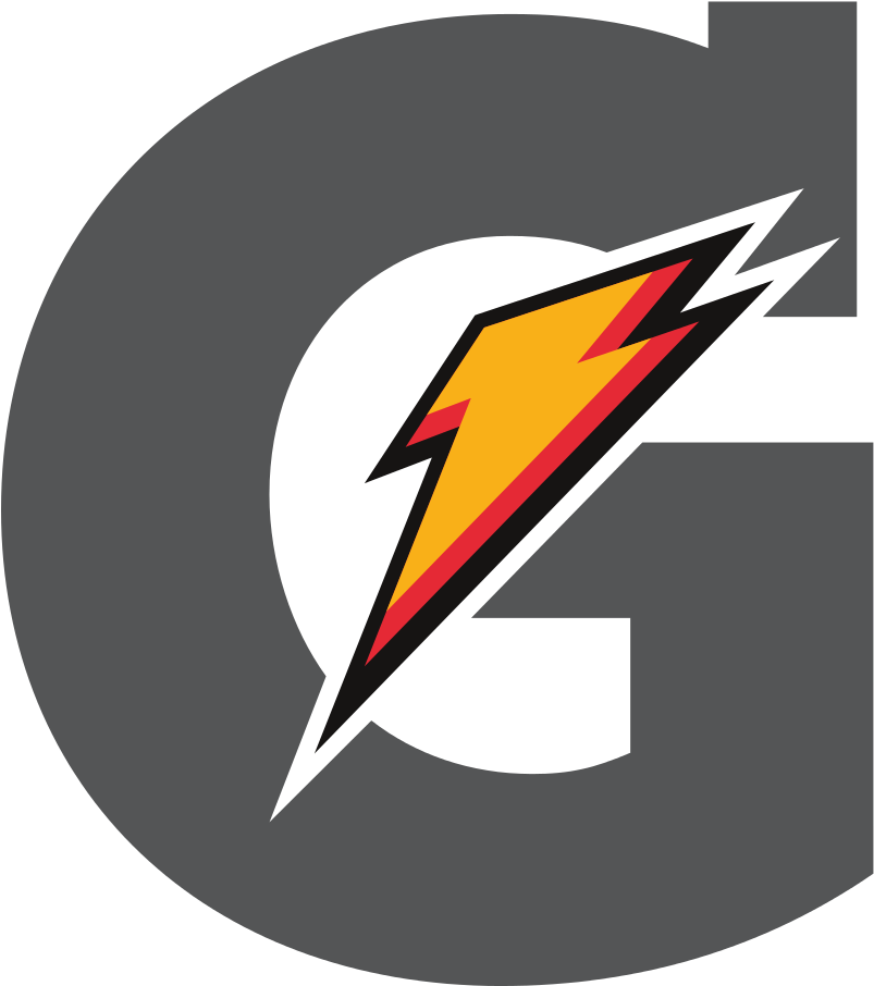 Flash Logo Icon PNG image