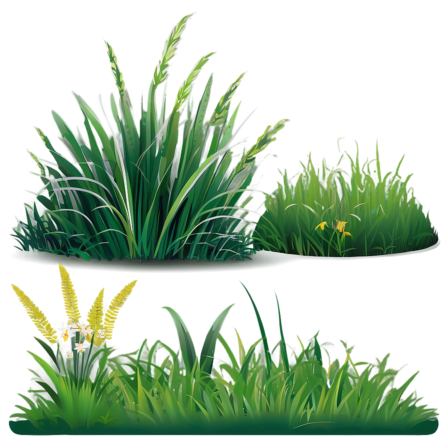 Flat Grass Clipart Png 06272024 PNG image