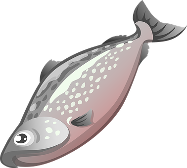 Flatfish Cartoon Illustration PNG image