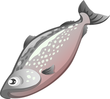 Flatfish Illustrationon Black Background PNG image