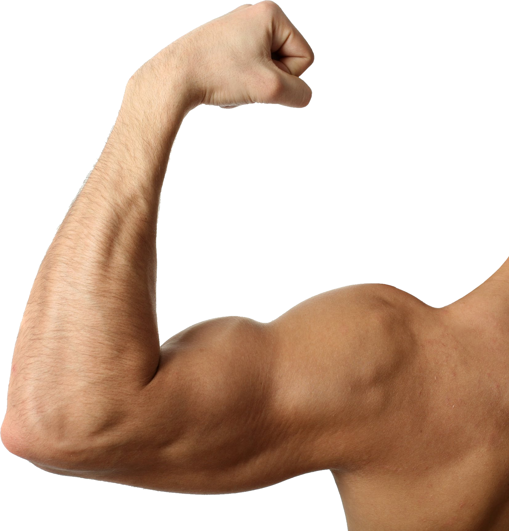 Flexed Bicep Muscular Arm PNG image