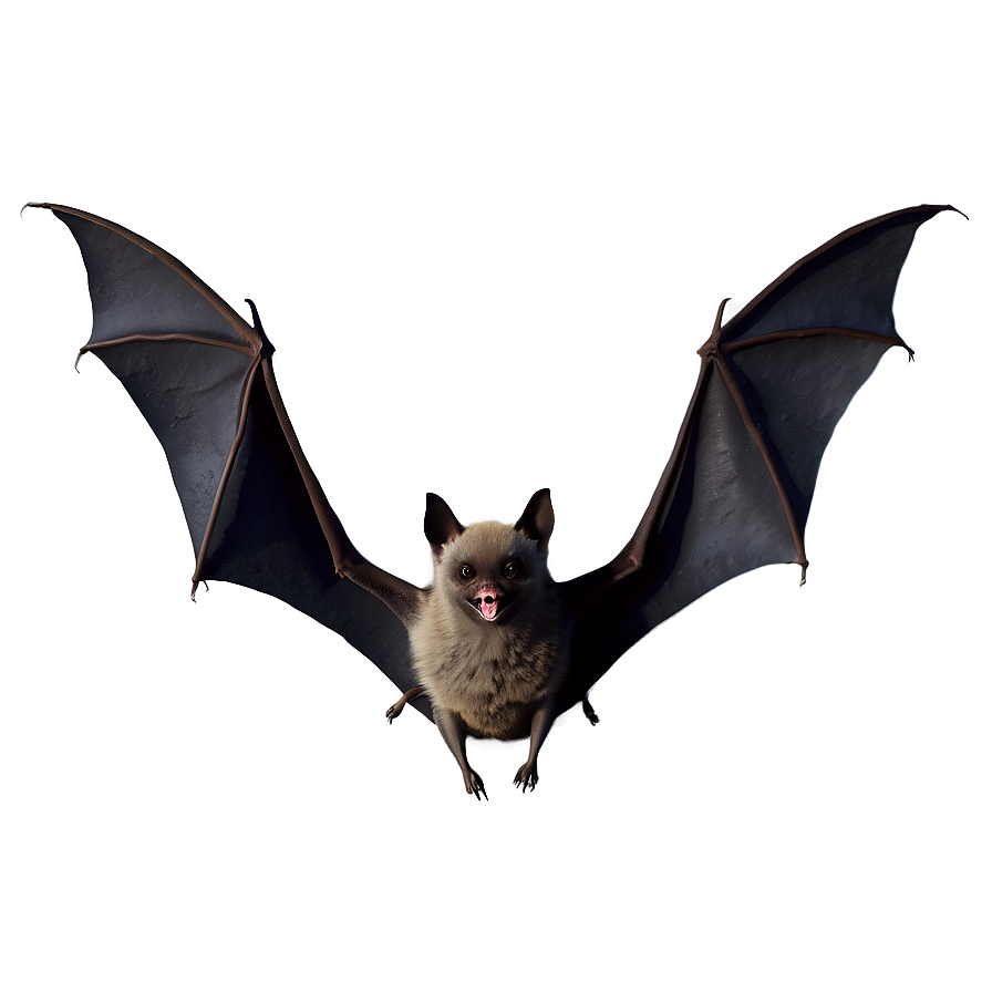 Flock Of Bats Png 18 PNG image