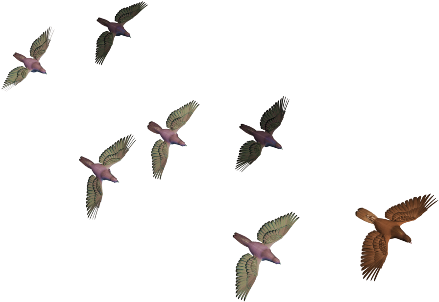 Flock_of_ Birds_in_ Flight PNG image