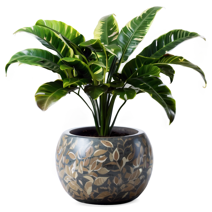 Floor Plant Clipart Png 15 PNG image