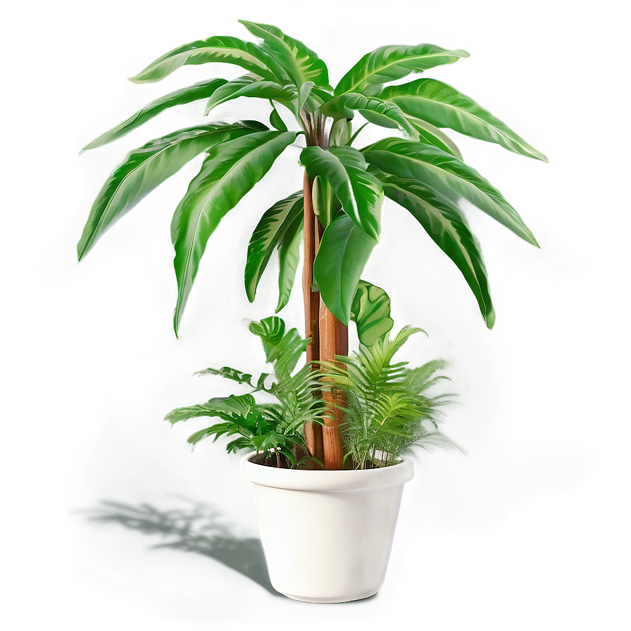 Floor Plant Design Png Ksp PNG image