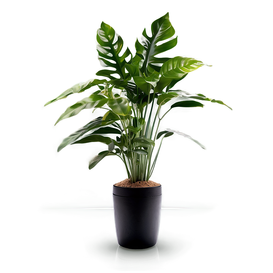 Floor Plant Design Png Sas PNG image