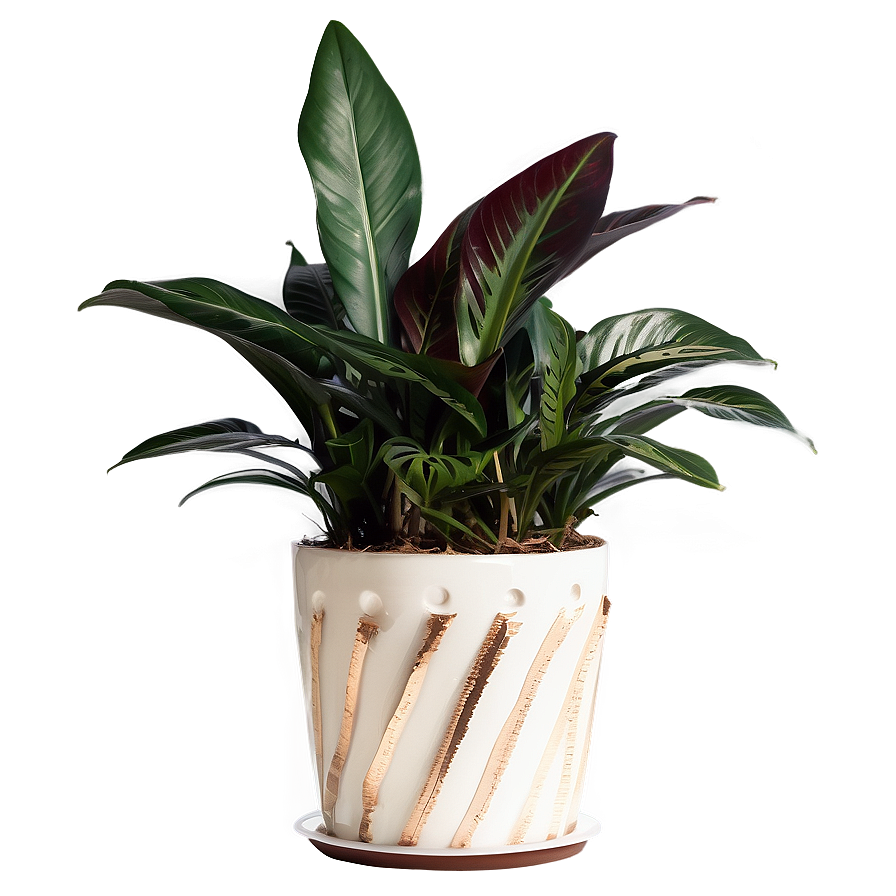 Floor Plant In Home Decor Png 06282024 PNG image