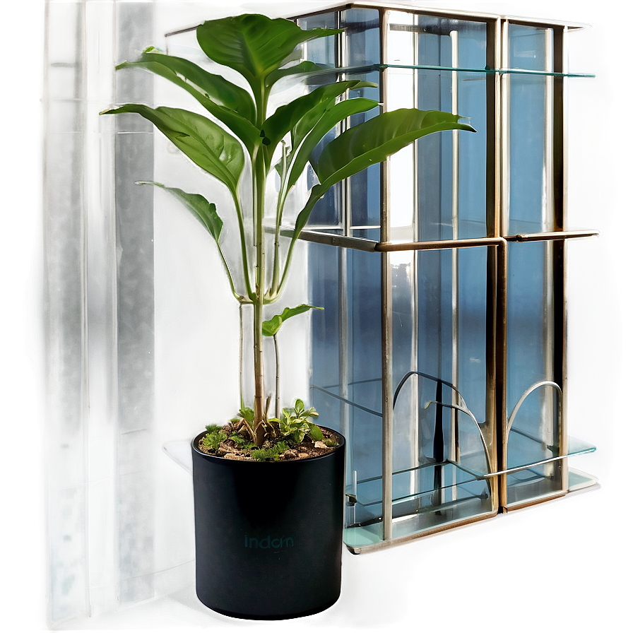 Floor Plant In Home Decor Png 90 PNG image