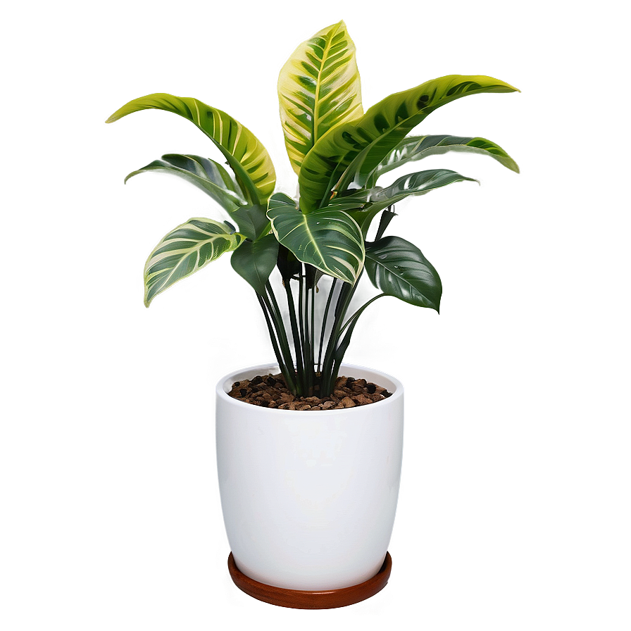 Floor Plant In Home Decor Png Bcy PNG image