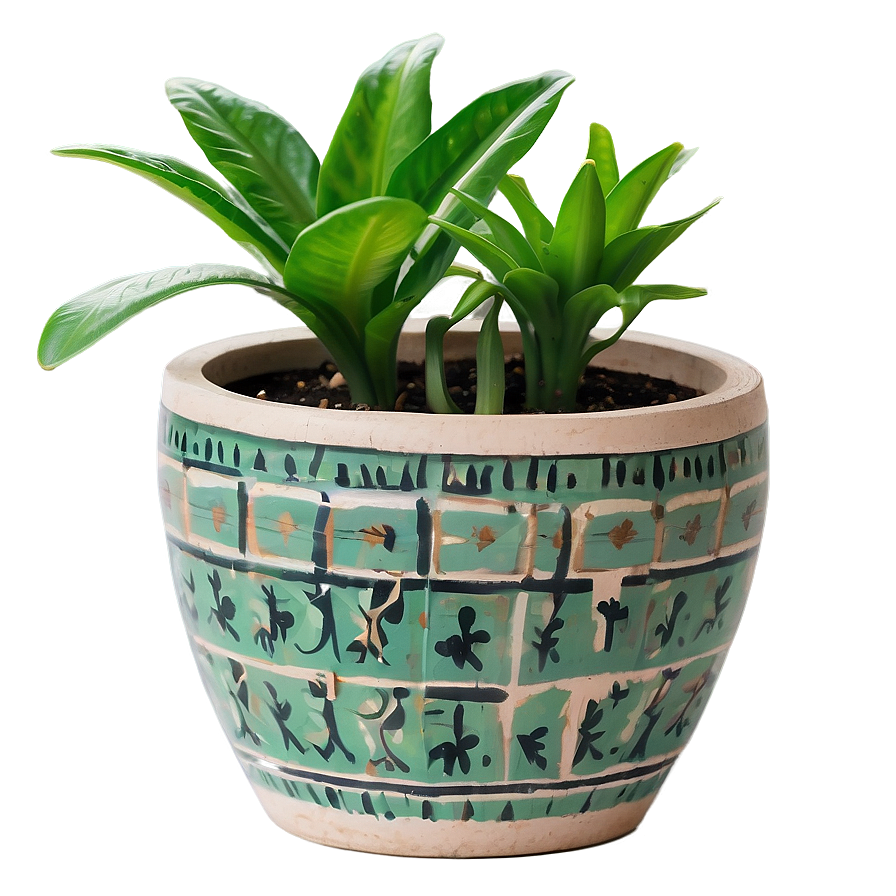 Floor Plant In Pot Png 06282024 PNG image