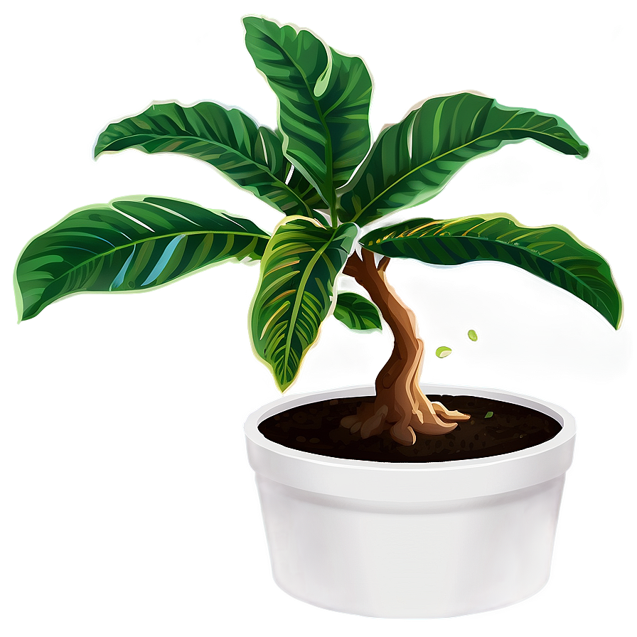 Floor Plant In Pot Png 06282024 PNG image