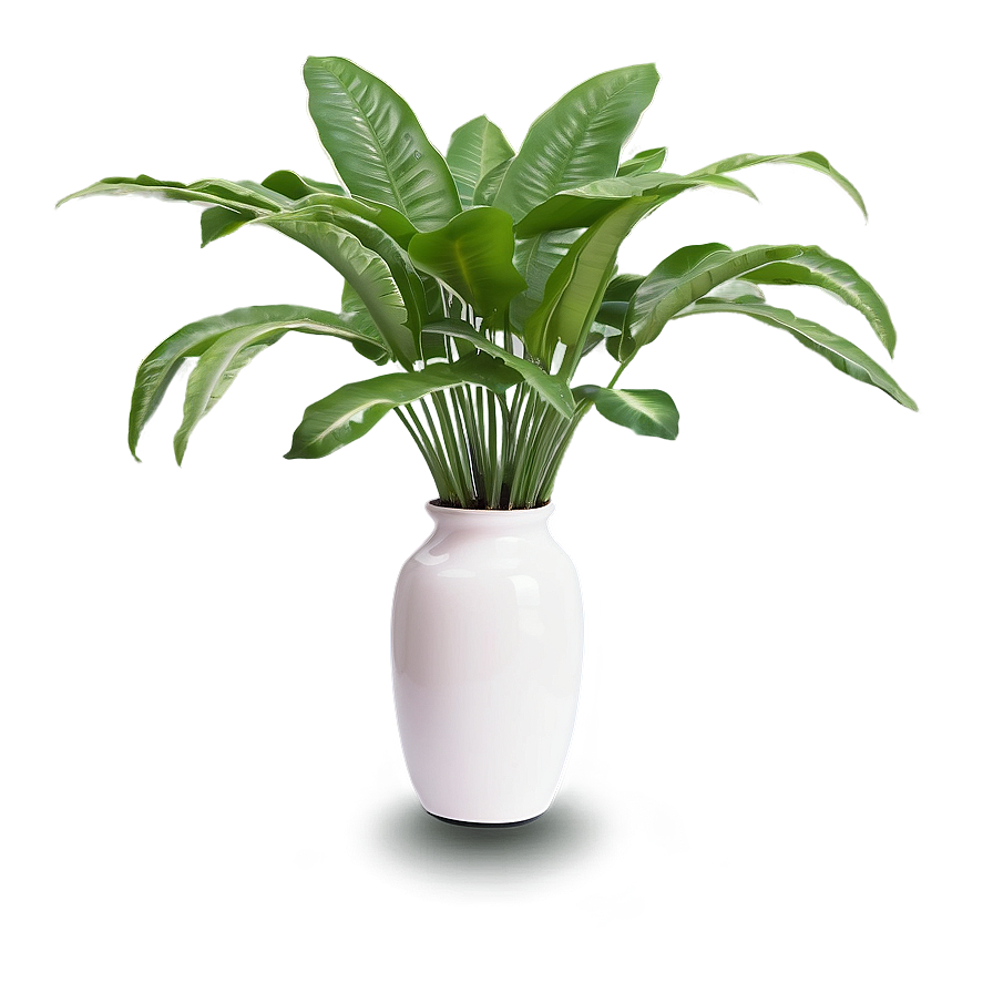 Floor Plant In Vase Png 06282024 PNG image