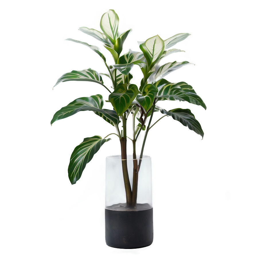 Floor Plant In Vase Png 17 PNG image