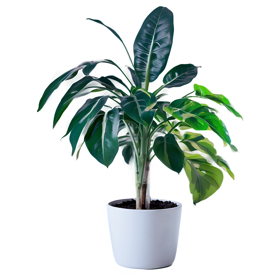 Floor Plant Png 63 PNG image