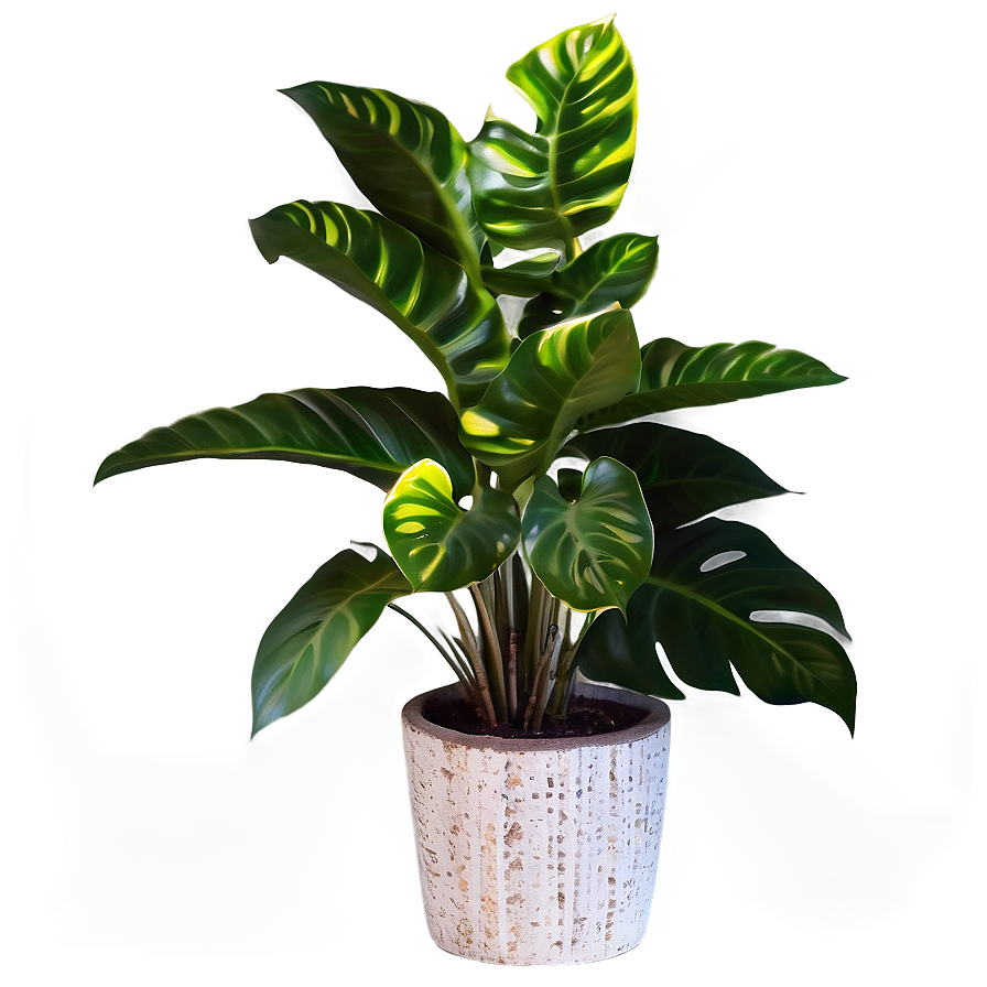 Floor Plant With Flowers Png 06282024 PNG image