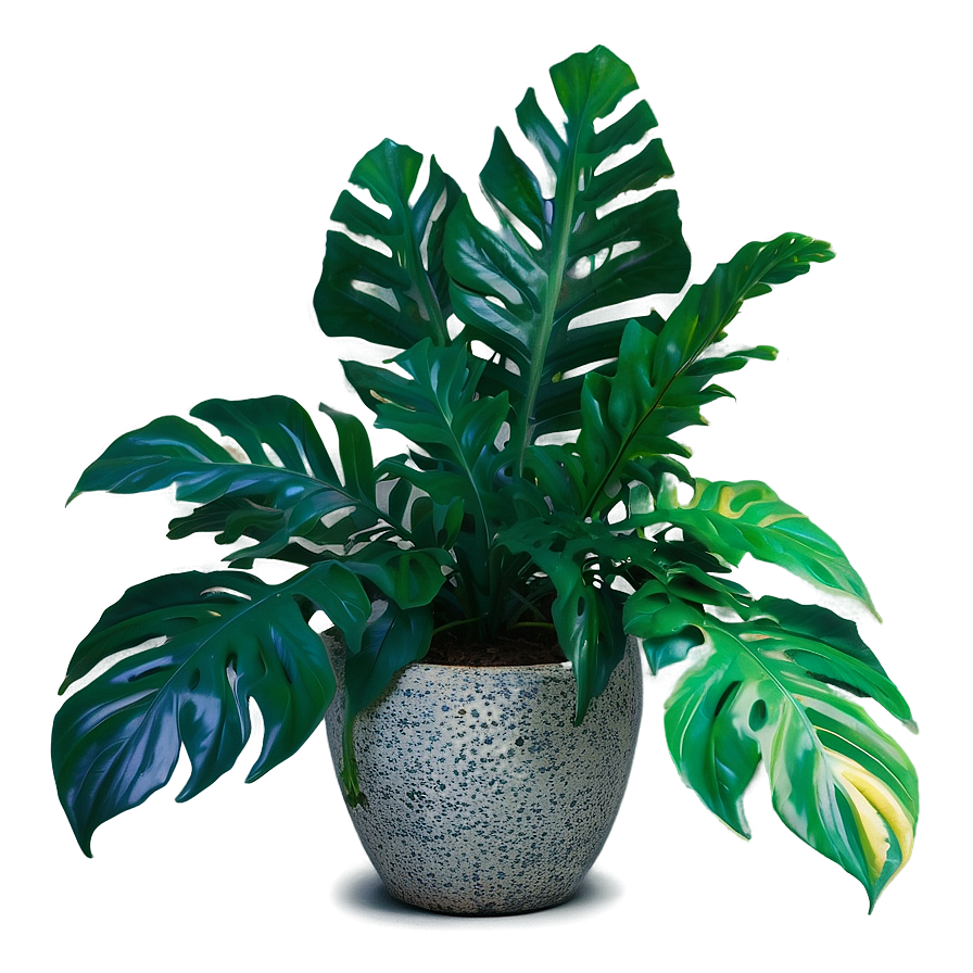 Floor Plant With Leaves Png Nea PNG image