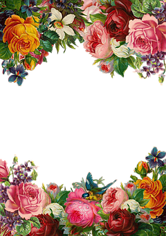 Floral Arch Frame Design PNG image