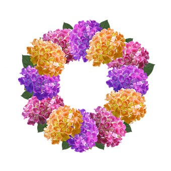 Floral Crown Design PNG image