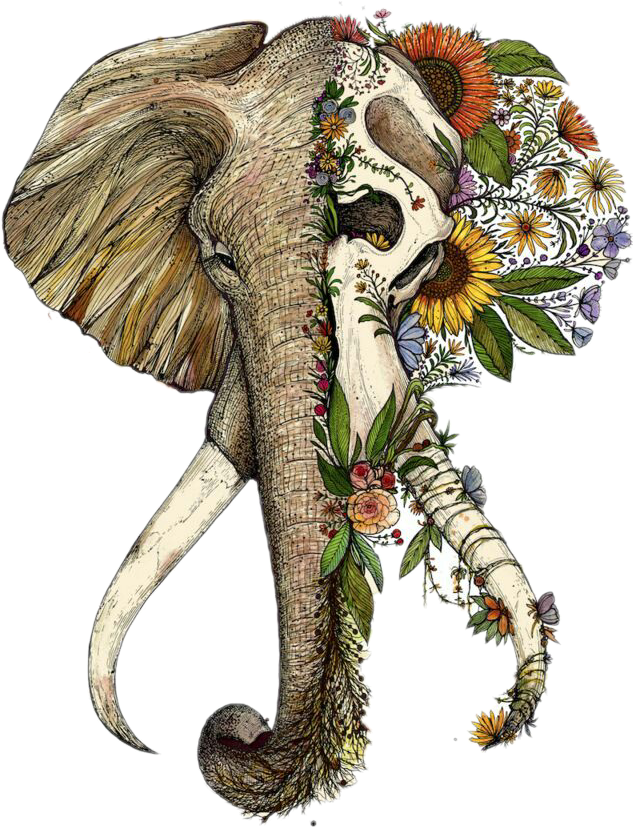 Floral Elephant Skull Tattoo Art PNG image