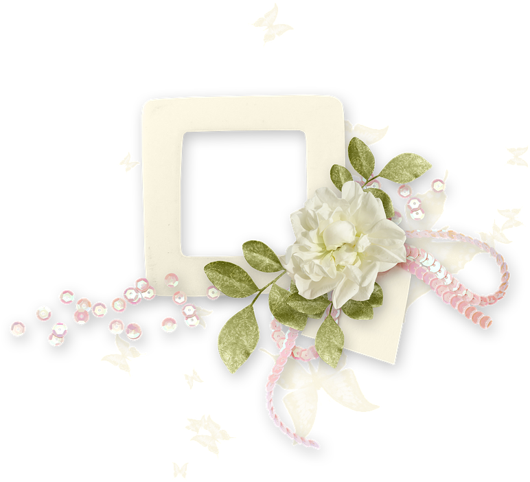 Floral Embellished Frame Design PNG image