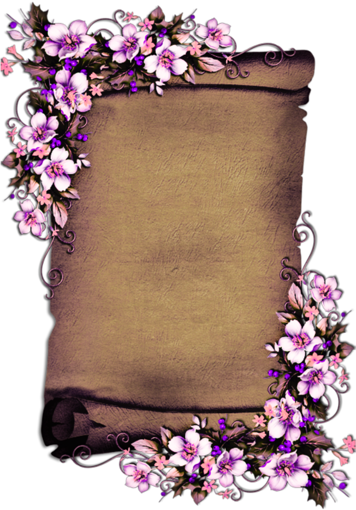 Floral Embellished Scroll Paper PNG image