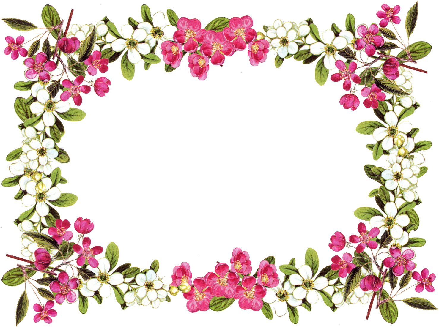 Floral Frame Border Design PNG image