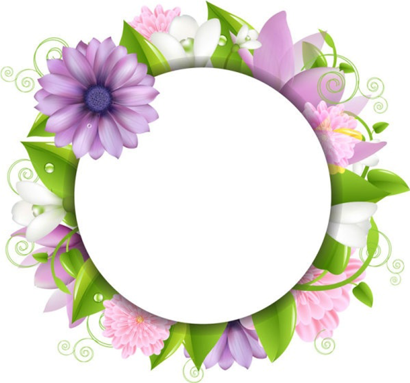 Floral_ Frame_ Circle_ P N G PNG image