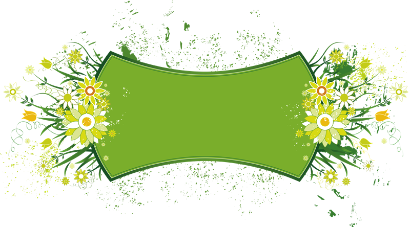 Floral Frame Green Banner Design PNG image