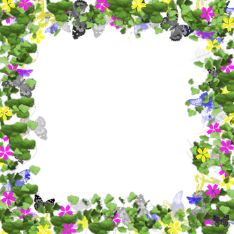 Floral_ Frame_with_ Butterflies PNG image