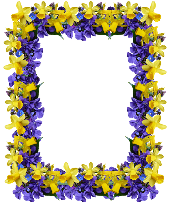 Floral Frame Yellowand Purple Flowers PNG image