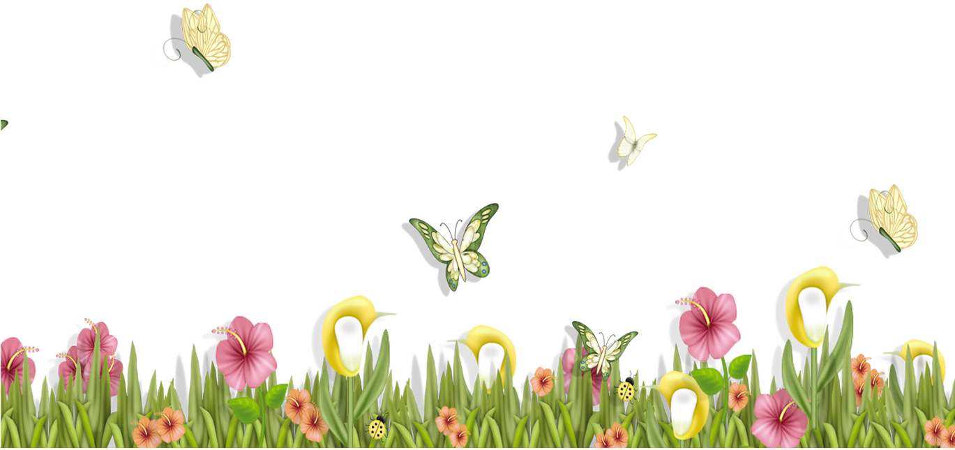 Floral_ Garden_with_ Butterflies_ Clipart PNG image