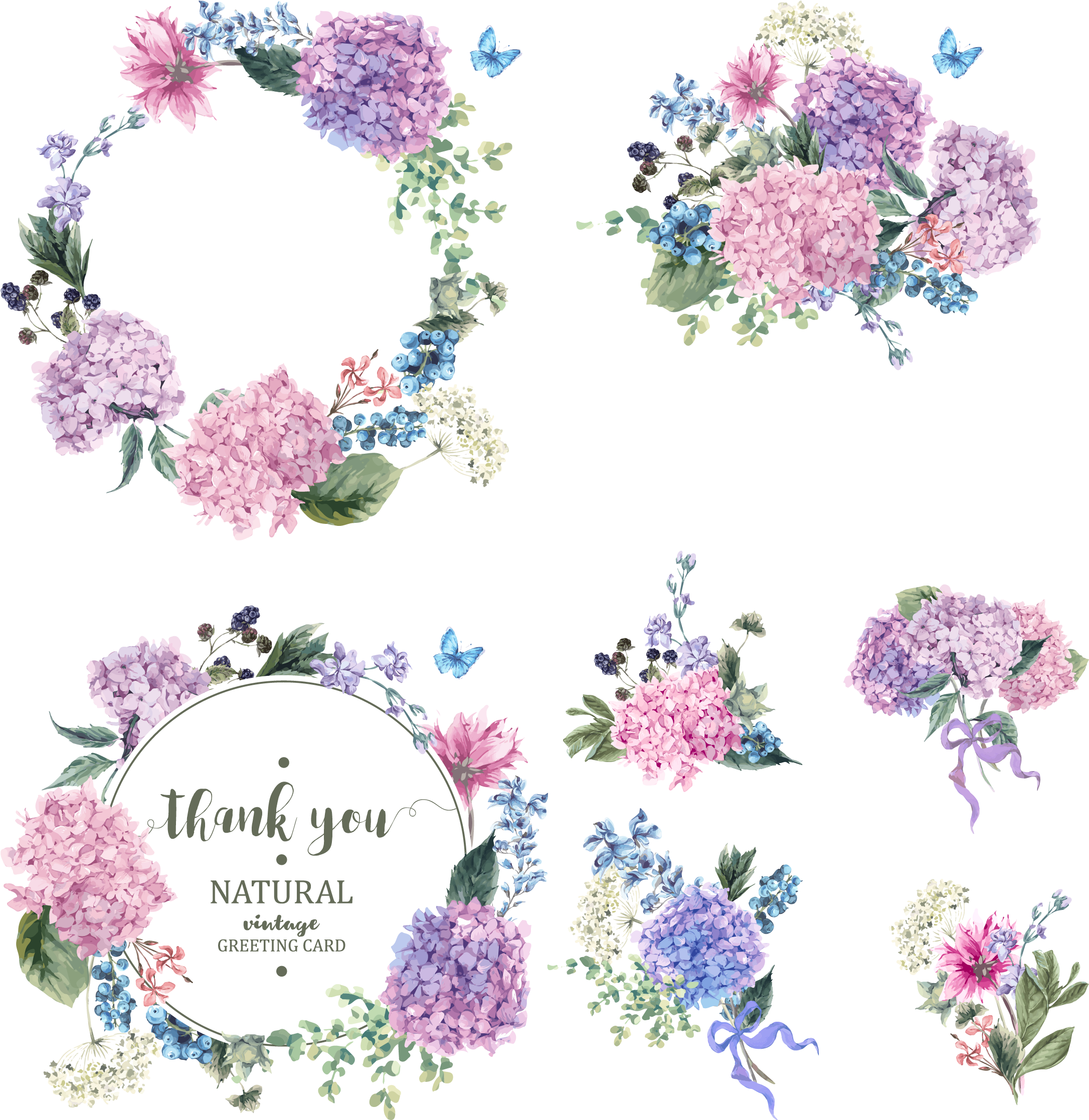 Floral_ Greeting_ Card_ Design_ Vector PNG image