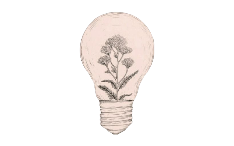 Floral Idea Lightbulb Illustration PNG image