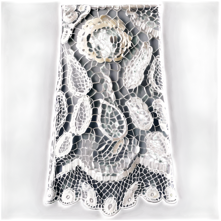 Floral Lace Overlay Png Tjn68 PNG image
