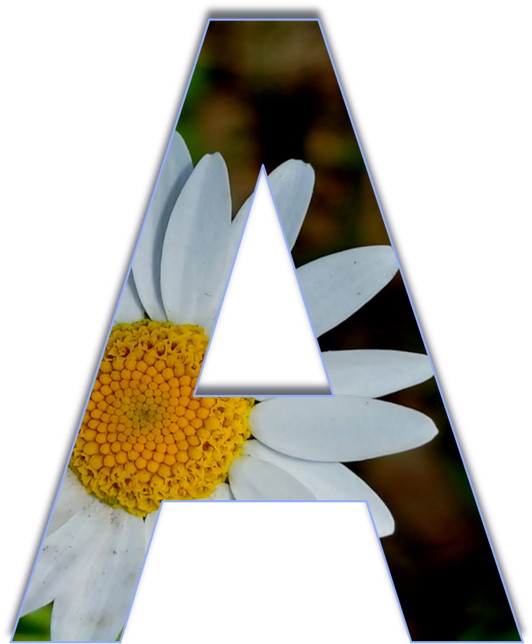 Floral Letter A Design PNG image