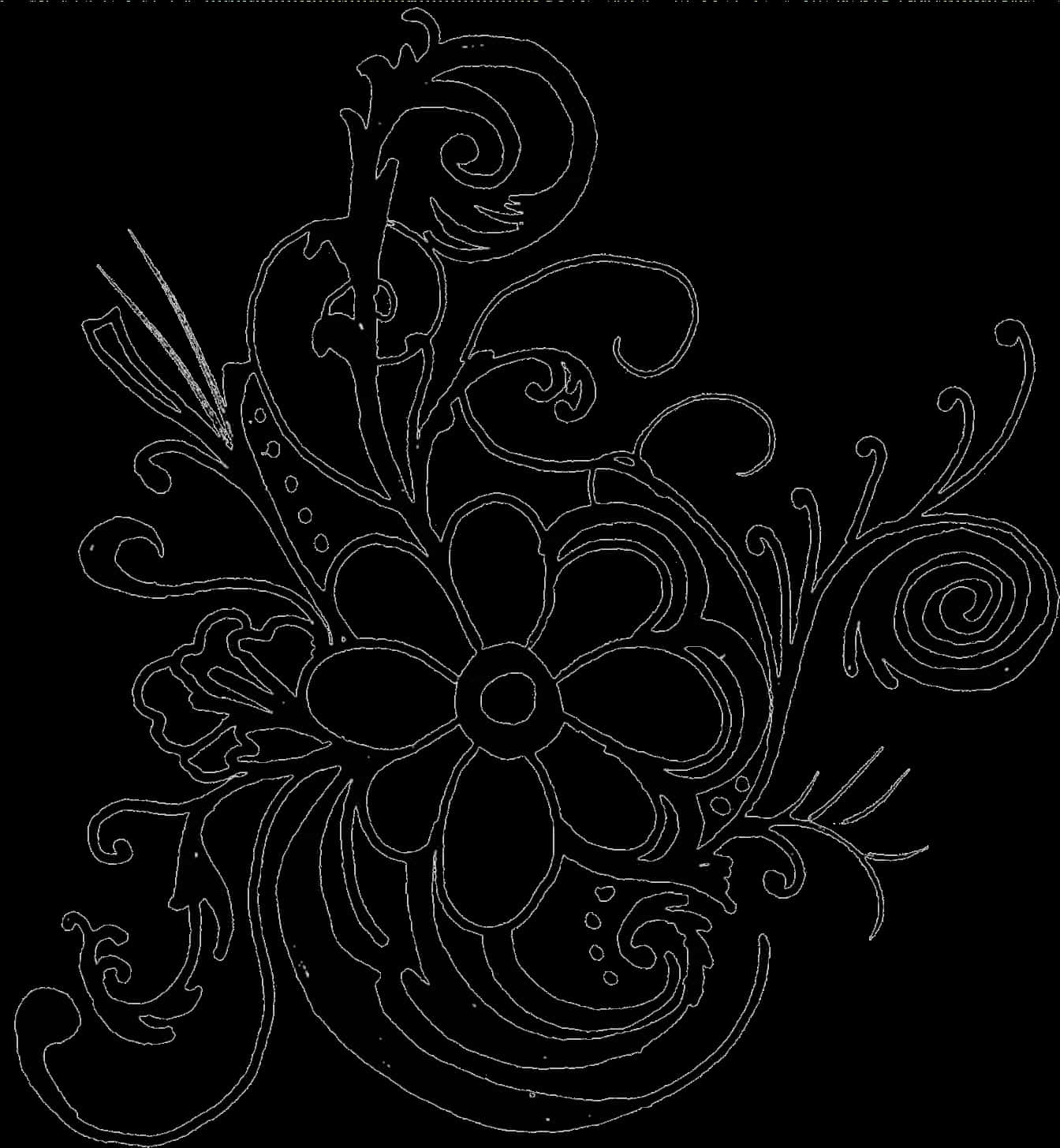 Floral Outline Artwork PNG image