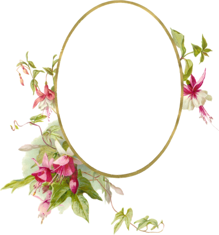 Floral Oval Frame Vintage PNG image