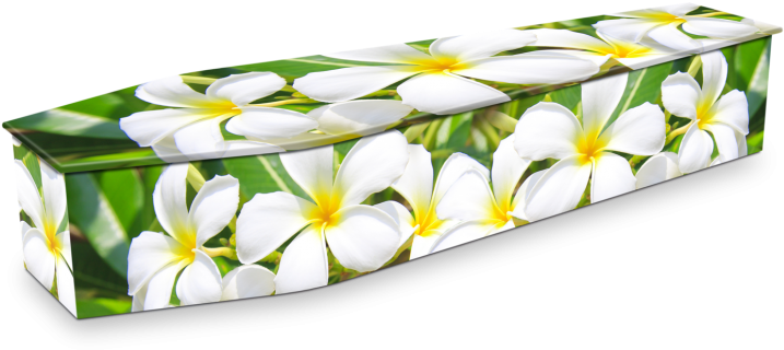 Floral Pattern Coffin PNG image