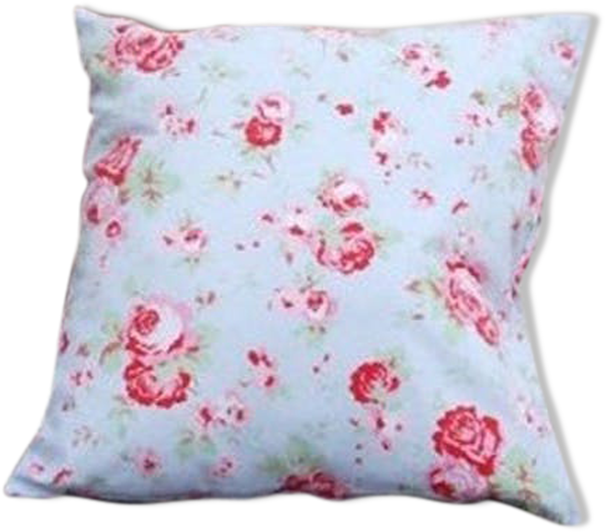 Floral Pattern Cushion.png PNG image