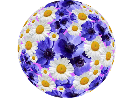 Floral Sphere Artwork.jpg PNG image