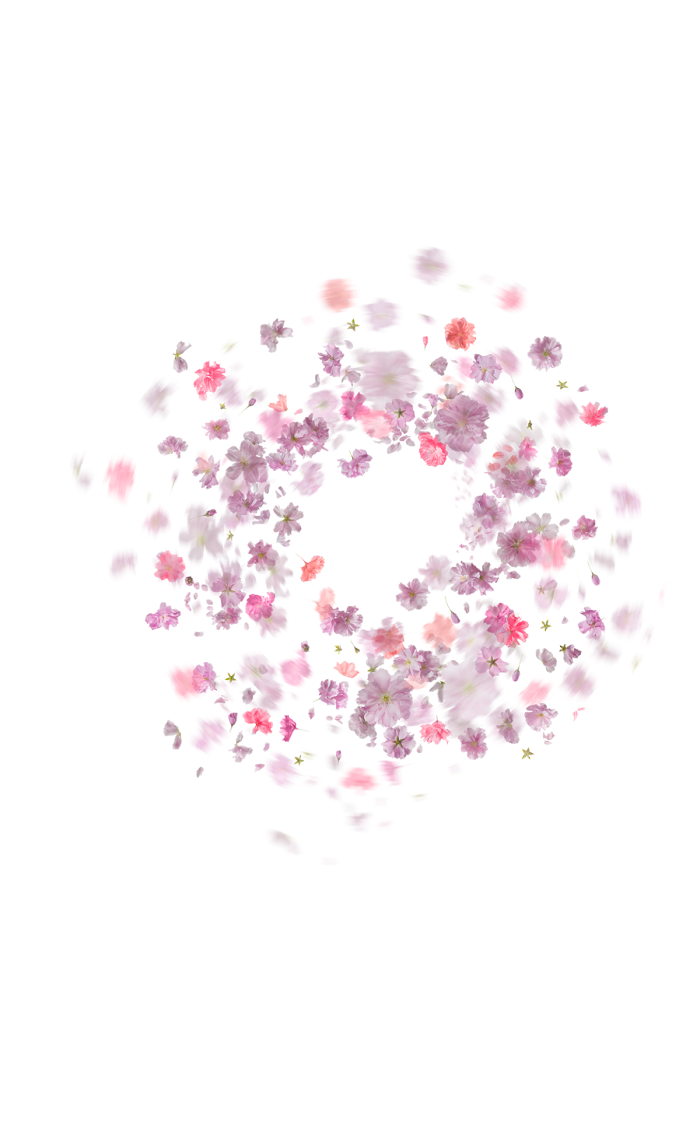 Floral_ Spiral_ Falling_ Petals PNG image