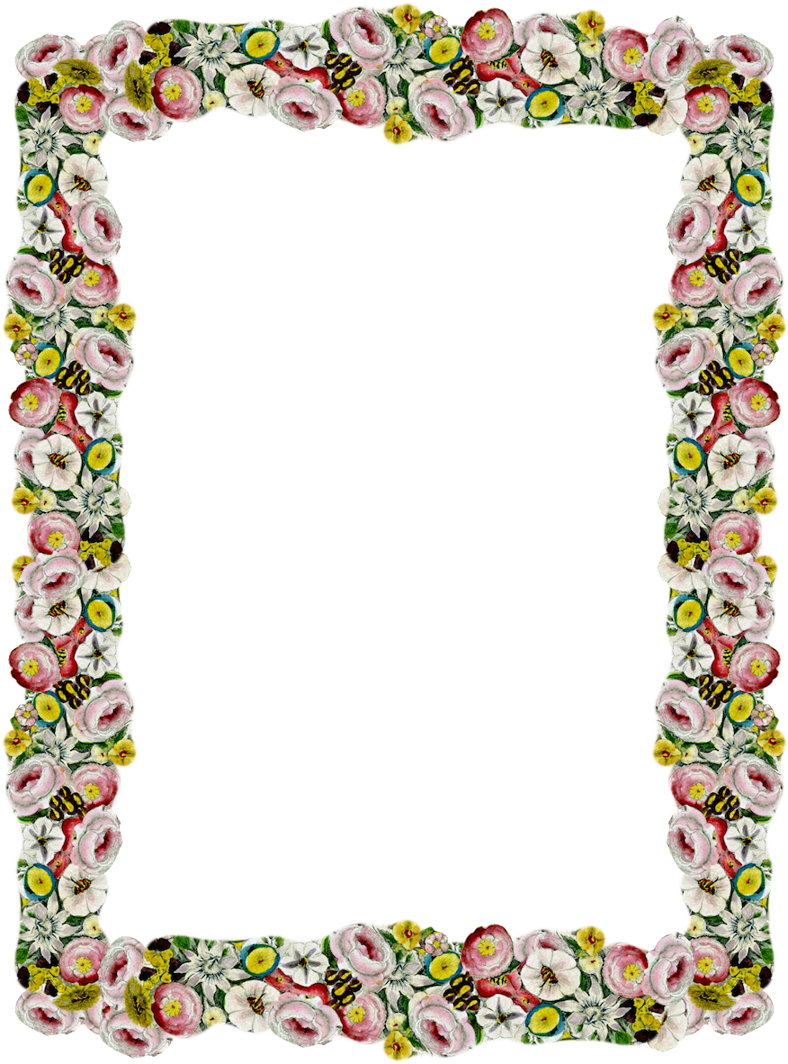 Floral Vintage Frame Design PNG image