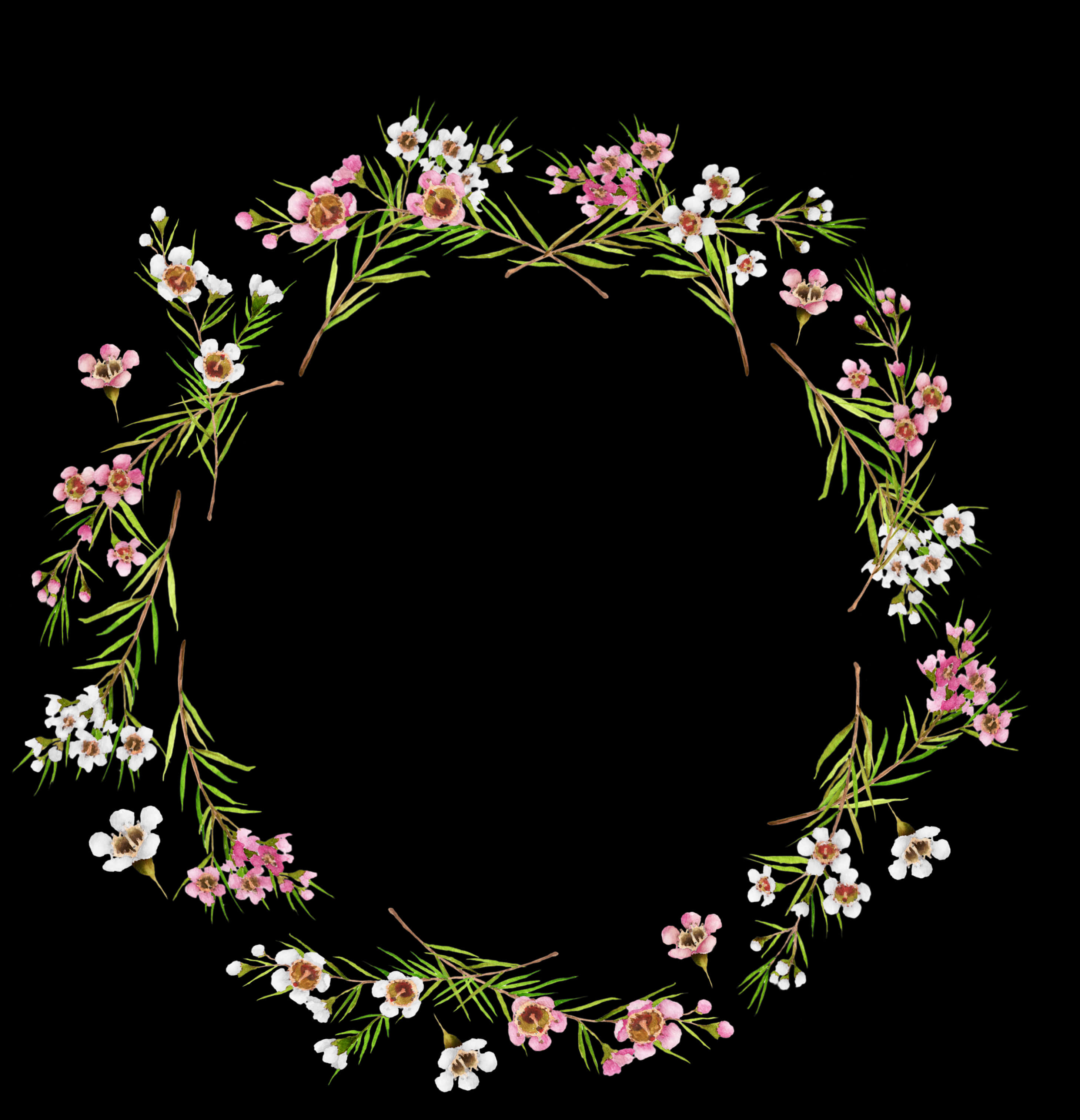 Floral_ Wreath_ Vector_ Graphic PNG image