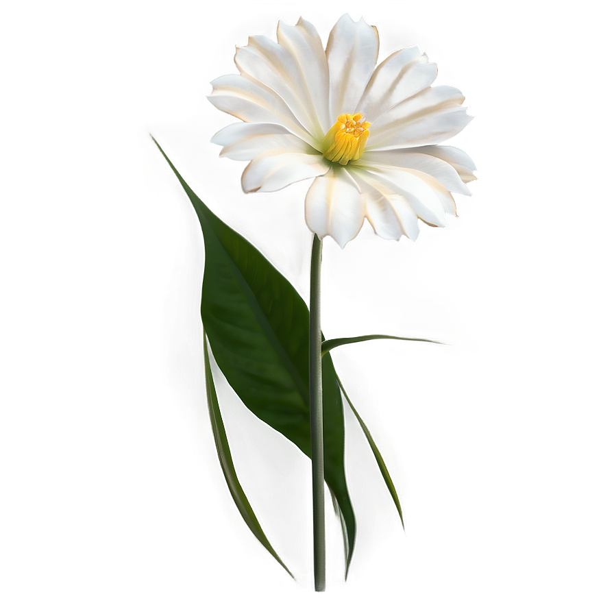 Flores Whisper Elegance Png Iiq5 PNG image
