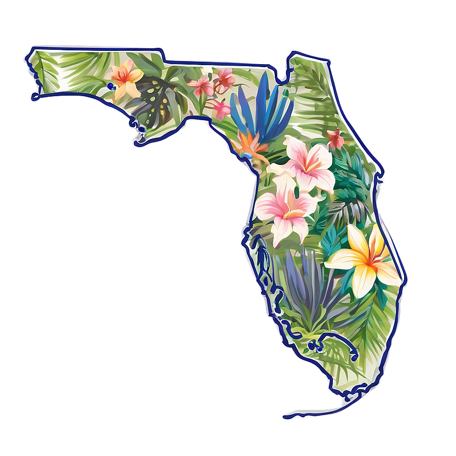 Florida Outline No Background Png 06122024 PNG image